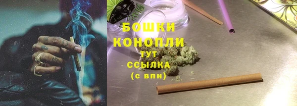 дурь Заводоуковск