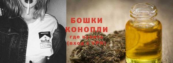 дурь Заводоуковск