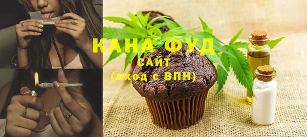 индика Заволжск
