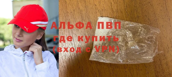 индика Заволжск