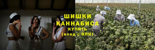 дурь Заводоуковск