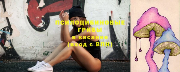 дурь Заводоуковск