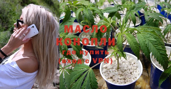 индика Заволжск